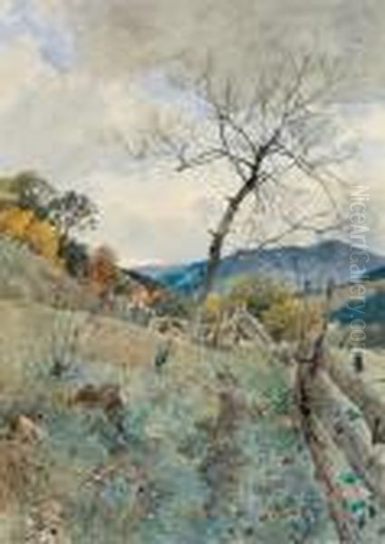 Pascoli Con Steccato In Legno - view 1