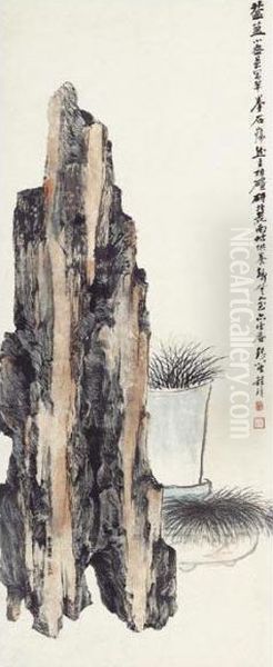 Rock &amp; Potted Plants - view 1
