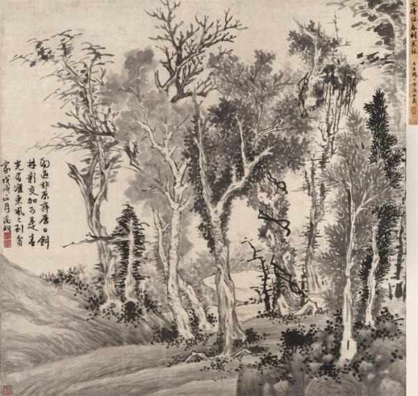 Forest In Early Spring - view 1