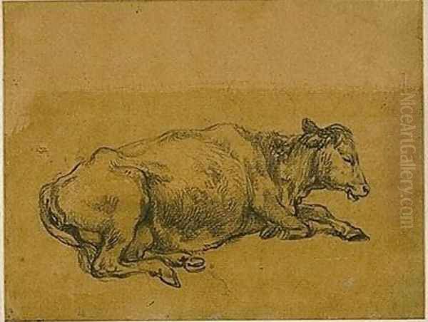Study of a Cow - view 1