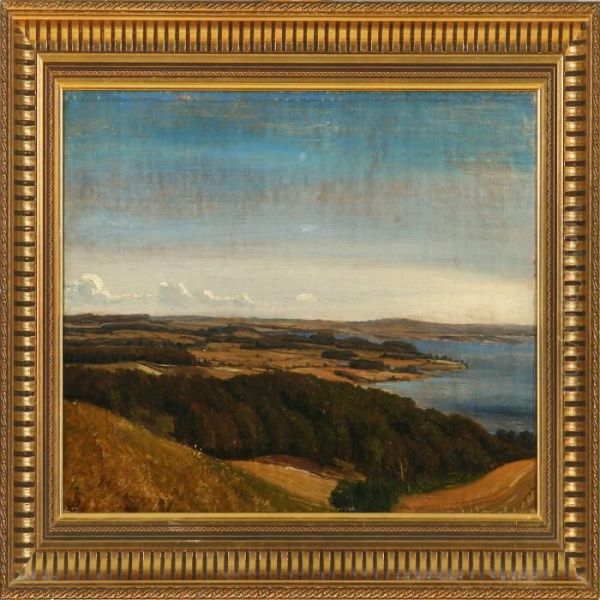 Landscape From South Jutland - view 1