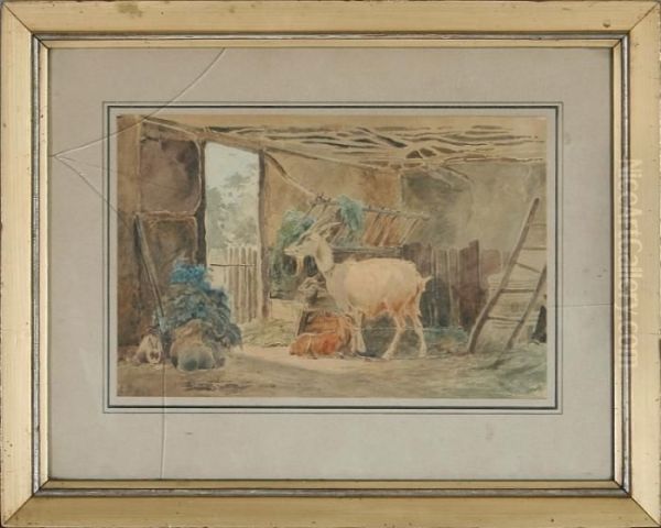 Rabbits And Goats In A Shed - view 1