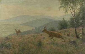 Rehbock Und Ricke Am Waldrand by Carl Friedrich Zimmermann