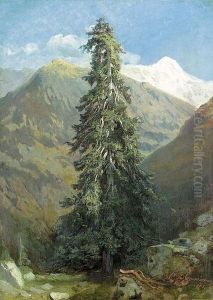 Tannenbaum Im Gebirge. by Friedrich Zimmermann