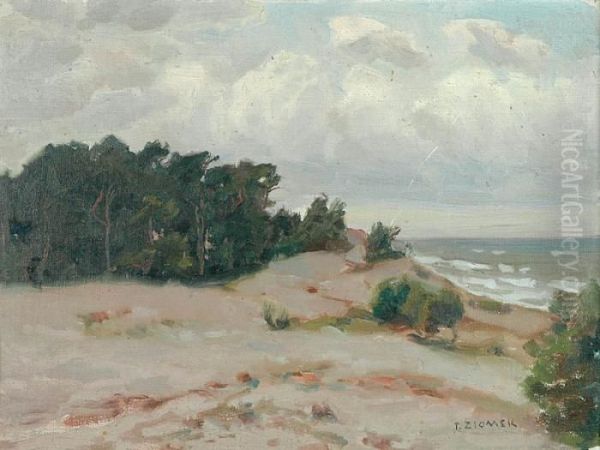 Pejzaz - view 1