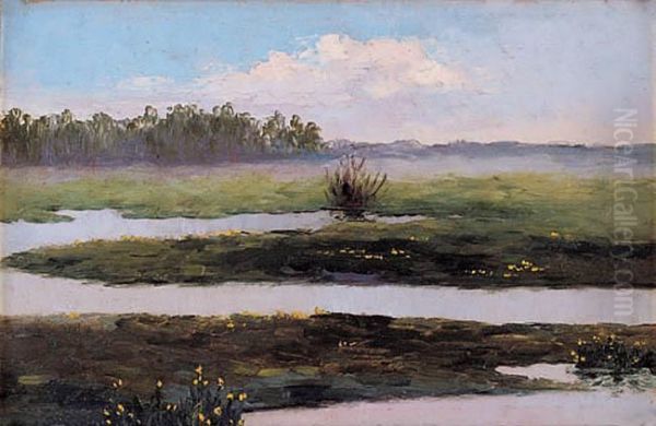 Rozlewisko - view 1