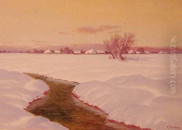 Zima - view 1