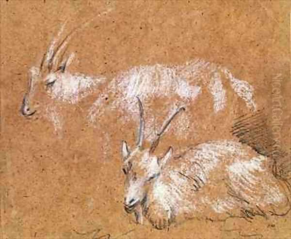 Study of Goats - view 1