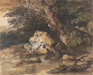 A Woodland Pool with Rocks and Plants