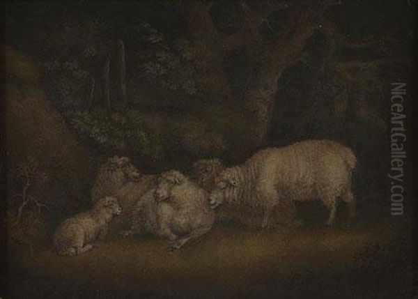 Sheep And A Lamb In A Woodland Landscape - view 1