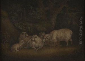 Sheep And A Lamb In A Woodland Landscape
