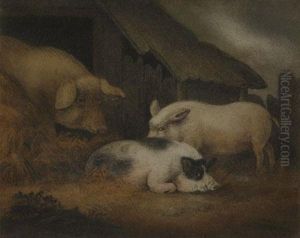 Depicting Three Various Pigs In Straw Outside Their Sty by Benjamin Zobel