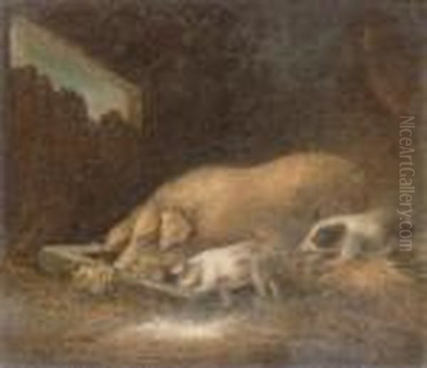 Inside The Pig Sty - view 1