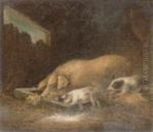 Inside The Pig Sty by Benjamin Zobel