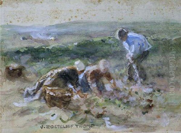 A Study Of Three Children Working At Avegetable Plot - view 1