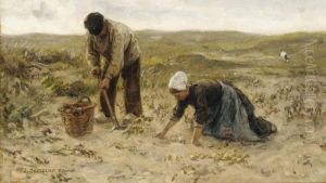 In The Fields In The Fields