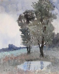 Landschaft Mit Tumpel