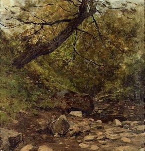 Waldlandschaft
