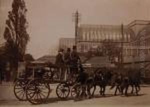 Cristal Palace Cristal Palace