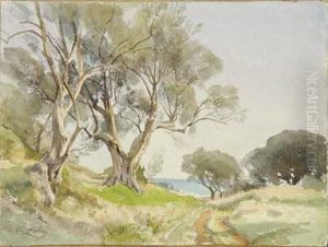 Les Oliviers Au Cap D'antibes by Jean Henri Zuber