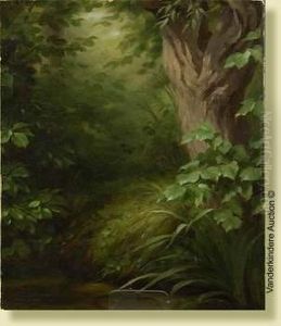 Sous-bois