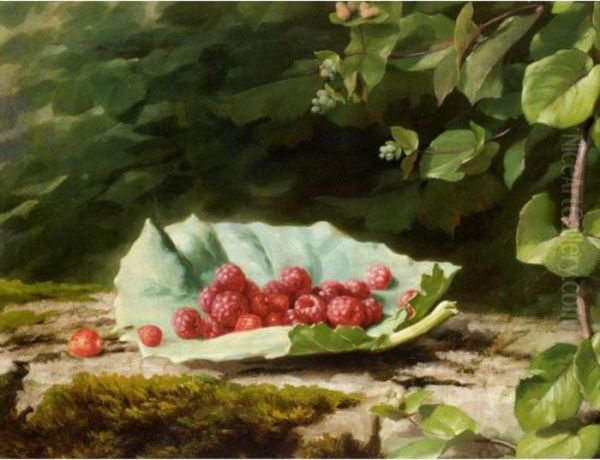 Still Life Of Rasberries - view 1