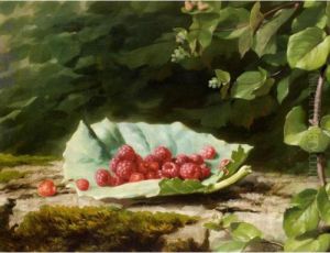 Still Life Of Rasberries Still Life Of Rasberries