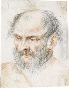 Umkreis Der Kopf Eines Bartigen Mannes by Federico Zuccaro