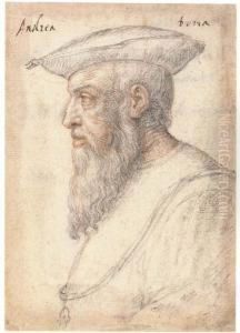 Portrait Of Andrea Doria In Profile To The Left, Wearing The Orderof The Golden Fleece by Federico Zuccaro