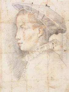 Portrait Of A Young Boy Wearing A Hat, Bust-length, In Profile Tothe Left by Federico Zuccaro