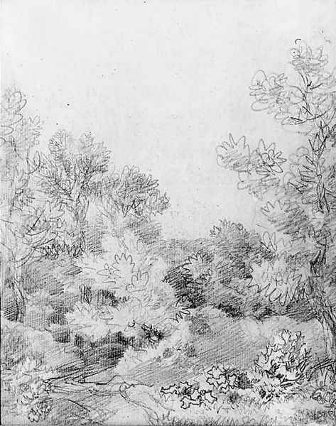 Study of a track through a wooded landscape - view 1