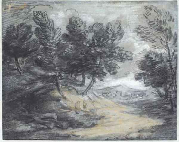 A track through a wooded landscape - view 1