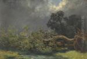 Nach Dem Sturm by Robert Zund