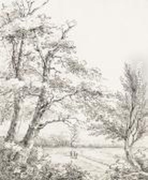 Drei Spazierganger In Einer Waldlichtung - view 1