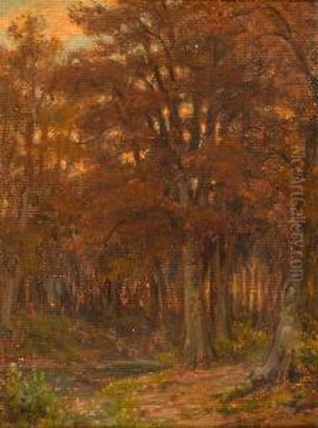 Waldlandschaft. - view 1