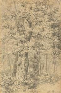 Tree Study by Robert Zund