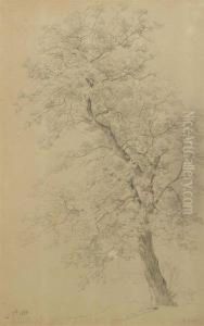 Oak. 1866.