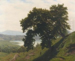Kastanienbaume Bei Horw.