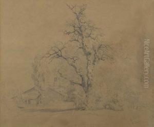 Landscape With Large Tree. 1866. Landscape With Large Tree. 1866.
