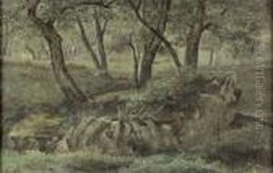 Waldlandschaft Mit Findling.