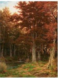 Waldlichtung by Robert Zund