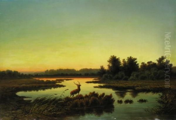 Einem Hirsch Am Ufer - view 1