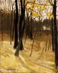 Autumn Forest by Vilmos Aba-Novak