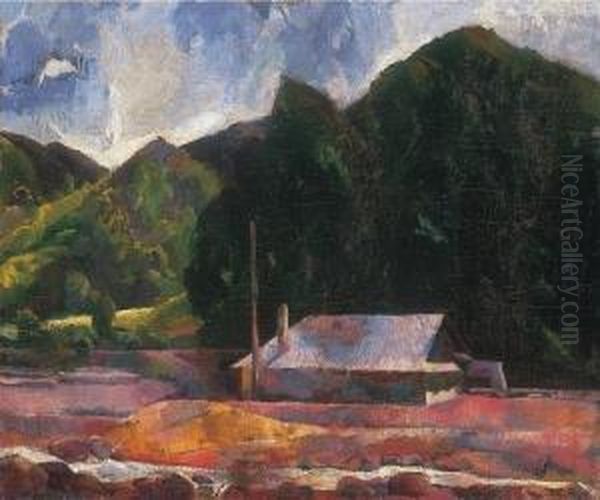 Riverside Of The Zazar In Felsobanya - view 1