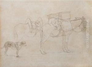 Donkeys With A Hound