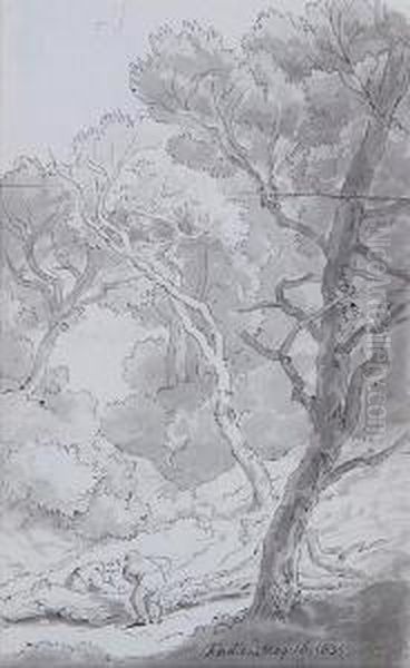 Fordland, Devon - view 1