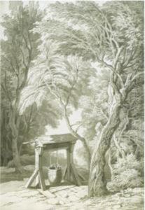 A Well Beneath Trees A Well Beneath Trees