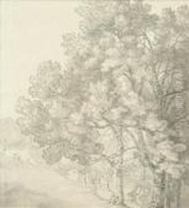 Stags On The Edgeof A Wood Pen, Ink And Monochromatic by John White Abbott