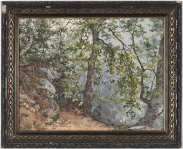 Sous Bois - view 1