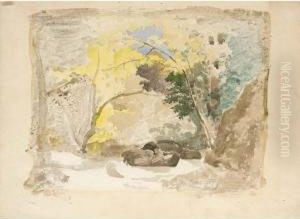 A Rocky Wooded Landscape